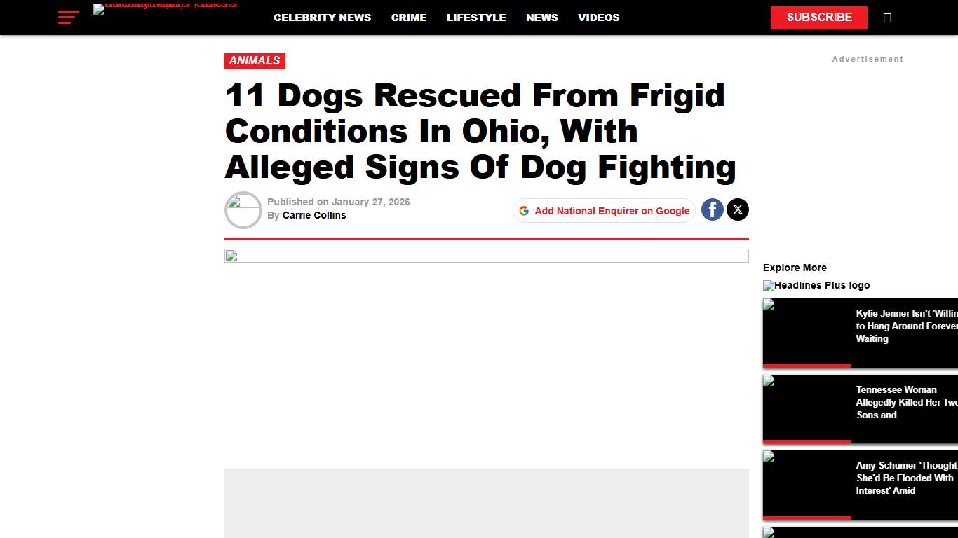 11 Dogs Rescued From Frigid Conditions In Ohio, With Alleged Signs Of Dog Fighting – National Enquirer Latest Celebrity News, Pictures & Entertainment